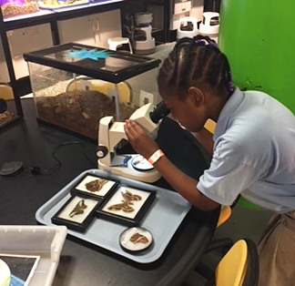 Student using microscope in classroom