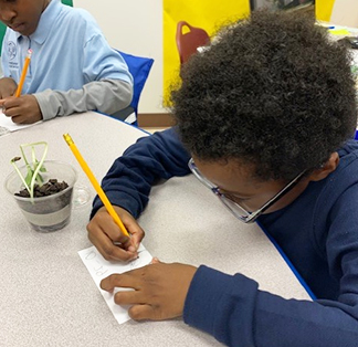 Elementary student taking notes about growing a plant