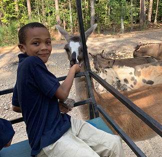 Student having fun with a goat on a zoo field trip